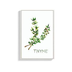 Framed Canvas Wall Art for Living Room, Bedroom Thyme Canvas Prints for Home Decoration Ready to Hang - 16x24 inches