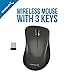 Sabrent 3-Button 2.4GHz Wireless Mouse Mice with Nano Receiver (MS-WRLS)