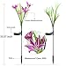 Solar Garden Stake Lights - 2 Pack Outdoor Solar Powered Lights with 8 Lily Flower, Multi-Color Changing LED Solar Decorative Lights for Garden, Patio, Backyard Decor (Purple & White)