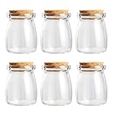 Magic Season Decorative Glass Bottle with Cork