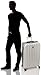 DELSEY PARIS Titanium Hardside Expandable Luggage with Spinner Wheels Checked Luggage, Silver, Checked-Large 29 Inch