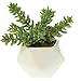 Small Faux Sedum Succulent in White Geometric Ceramic Vase - 4.5 x 4.5 x 5.5 Inches - Marmeda Artificial Stonecrop Potted Plant in Midcentry Glossy Pot for Home, Office, and Event Decor