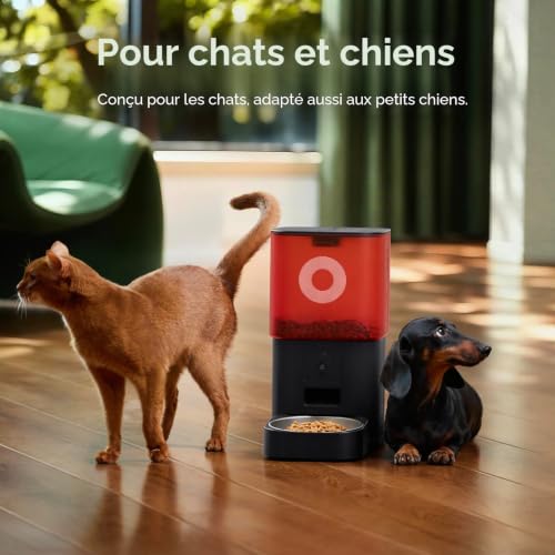 Distributeur Croquettes Chat Automatique avec Caméra, 6L, pour Chat et Petit Chien, Audio Bidirectionnel, Vision Nocturne, Contrôle via App WiFi 2.4G, Bol en Acier Inoxydable (Noir)