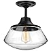 Petronius Industrial Semi Flush Mount Ceiling Light, Farmhouse Lighting Clear Glass Pendant Lighting Shade, Edison Vintage Style Hanging Lights Fixture（An Incandescent Bulb Included）