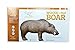 Rinehart Woodland Boar 3D Target