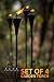 Deco Home (Set of 4), 64-inch Outdoor Garden Flame Conical Torch Brown Oil Rubbed Finish