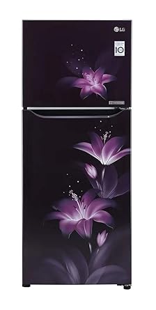 LG 260 L 3 Star Inverter Linear Frost-Free Double Door Refrigerator (GL-T292SPG3, Purple Glow, Convertible)