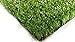 PZG Artificial Grass Rug w/ Drainage Holes & Rubber Backing | 2-Tone Realistic Synthetic Grass Mat | Extra-Heavy & Soft Pet Turf | Lead-Free Fake Grass for Dogs or Outdoor Decor | Size: 6' x 4'