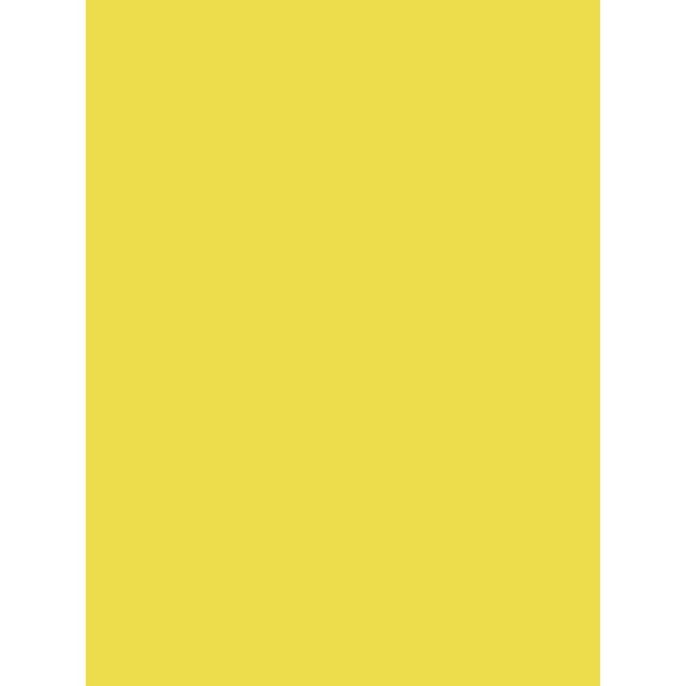 Clairefontaine 384515C Pack of 25 Sheets Coloured Poster Paper 90g/m² Format 60x80cm Cutting Writing Collage Creative Activity Adults Kids Colour Lemon Yellow — image 1
