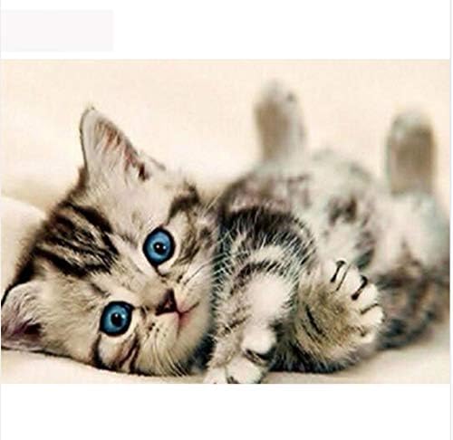 3D Diamond Painting Full Diamond Painting,5D DIY Diamond Painting Full Drill Resin,Yikee Diamond Painting Kitten 60X80Cm