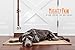 Mighty Paw Dog Doorbells - Soft Leather with Durable Jingle Bells - Ideal for Potty Training - for Pets to Ring to Go Outside - Dog Potty and Puppy Potty Training - (Brown)