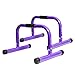 BodyRock Mini Dip Bar Station: Challenger Mini Parallette Bars for Dips & Calisthenics - Parallel Bars to Build Core Strength, Balance & Tricep, Arm & Shoulder Muscles - Fitness Equipment for Home Gym
