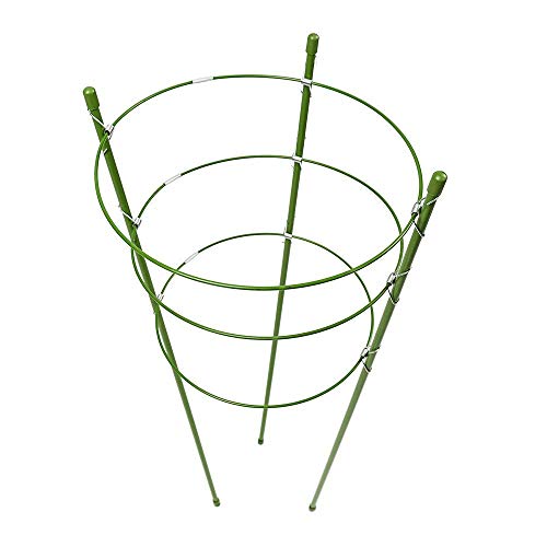 Alapaste Plant Support Ring Garden Trellis Plant Support Cage with 3 Adjustable Rings for Potted Climbing Plants Vegtables Flowers - Thumbnail 7