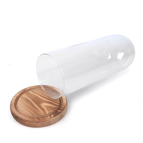 Reelva Decorative Clear Glass Cloche Bell Jar Display Case (D9cmH25cm)