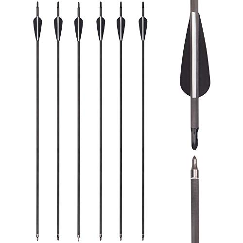 Archery 28 Inch Carbon Arrow Spine 400 Practice Hunting Arrows with Removable Tips for Compound & Recurve Bow (Pack of 6