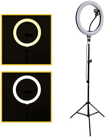 <em>Ring light</em> portátil