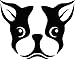 Boston Terrier Dog Face Decal Vinyl Sticker|Cars Trucks Vans Walls Laptop| Black |5.5 x 4.5 in|CCI488