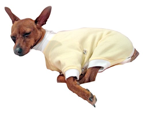 Cover Me By Tui Original Fit Step Into Yellow Long Sleeve Xx Small Buy Online In Burundi At Burundi Desertcart Com Productid 31756147