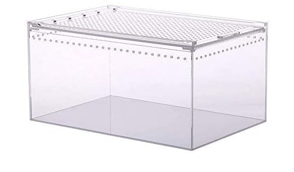 what to use for guinea pig litter box