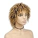 Goldfinch Blonde Ombre Short Kinky Curly Wig Human Hair Afro Curly Wig Black to Blonde Short Curly Human Hair Wig for Black Women Remy Virgin Hair Wig 5 inches