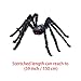 JInSEY Giant Spider + Spider Web Decoration,Halloween Decoration 59