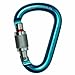 Petzl ATTACHE LOCK carabiner - HERA