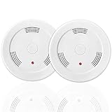 2 Pack Combination Smoke and Carbon Monoxide Detector Battery Operated, Travel Portable Photoelectric Fire&Co Alarm for Home, Kitchen