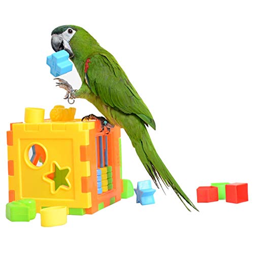 Wontee Bird Training Block