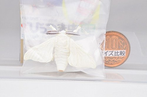 Amazon カプセルqミュージアム 実践 ひっつき虫図鑑 部屋の壁の昆虫