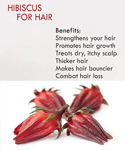 Leave-In Conditioner with Keratin and Sorrel, Conditioning Spray for Dry, Damaged Hair, 8oz