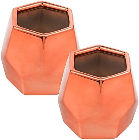 Succulent Cacti Planter Small Pots Containers Modern Geometric Minimalist Nordic Style Home Office Deco Accessory 2 Pack (Hexagon)