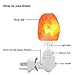 MAYMII·HOME 4 Pack Himalayan Salt Rock Night Light Pink Salt Lamp, Hand Craved Natural Salt Rock, Saftey Certified Wall Plug E12 Base, Amber White Light for Ambiance Lighting, Decoration, Yoga,