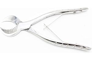 Stainless Steel Dental Pliers Plaster Nippers Cutter Dentist Lab Equipment, Cow Horn Jaws, Serrated Blade, Spring Action by Hbmol (Small)