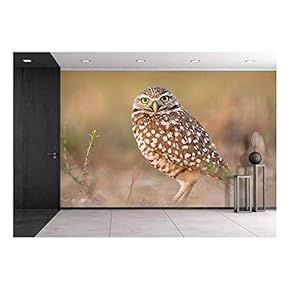 a Standing Owl - Removable Wall Mural | Self-Adhesive Large Wallpaper - 66x96 inches