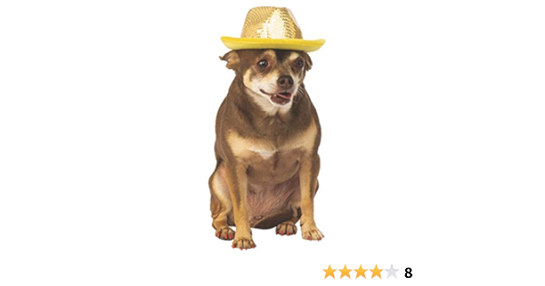 dog fedora
