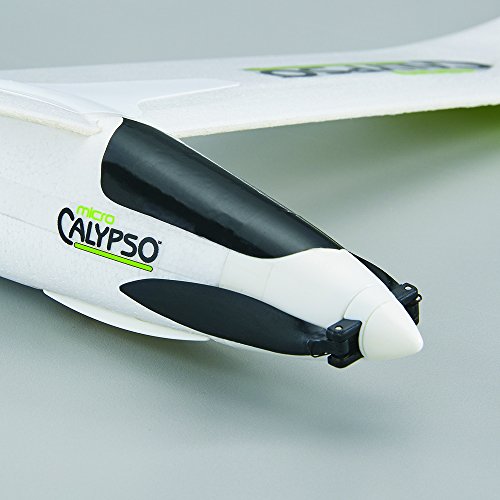 Flyzone Micro Calypso Electric Powered Ready to Fly (RTF) Radio