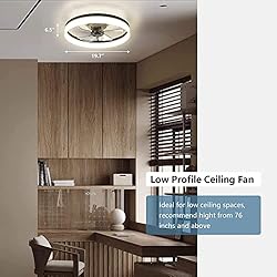 19.6" Ceiling Fans With Lights, Semi-enclosed Flush
