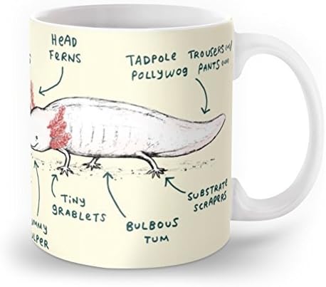 Unique Designed Anatomy Of An Axolotl Mug 11 oz by Leiacikl22