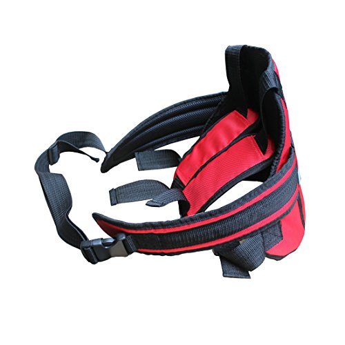 Superdream Children Motorcycle Safety Seats Belt Harness for Riding Horseback Snowmobile (Red)