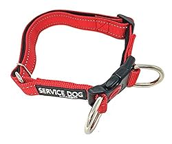 Albcorp Reflective Service Dog Collar - Service Dog