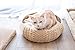 Petpals Hand Made Paper Rope Round Bed for Cat/Dog/Pet Sleep with Pillow, Naturalthumb 2