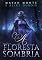 Livro A Floresta Sombria