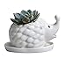 GeLive White Hedgehog Ceramic Planter Succulent Plant Pot Flower Window Box with Saucer Cartoon Animal Decor Indoor Outdoor