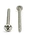 Bolt Dropper #10 x 2 inch Stainless Truss Head Phillips Wood Screw (Set of 100), 18-8 (304) Stainless Steel Screws, ssd Screws