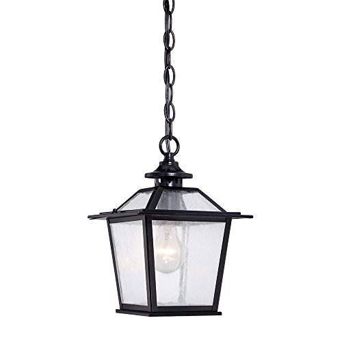 Acclaim 9706BK Salem Collection 1-Light Outdoor Light Fixture Hanging Lantern, Matte Black