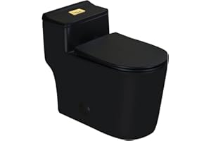WinZo WZ5080B-G Compact One Piece Toilet With Golden Square Dual Flush 1.28 GPF 17.25" Comfortable Elongated Tall Bowl 12” Rough-in, Matte Black