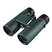 Wingspan Optics NaturePro HD 8X42 Professional Binoculars for Bird Watching. Experience Vivid Color, Clarity and Brightness Up Close or Far Away. Wide Field of View. Close Focus. Waterproof, Fog Proof