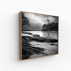 Canvas Wall Art for Living Room, Bedroom Silence Framed Canvas Prints for Home Decoration Ready to Hang - 16x16 inches