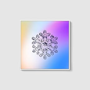 Framed Canvas Wall Art for Living Room, Bedroom Snowflake Theme Canvas Prints for Home Decoration Ready to Hang - 16x16 inches