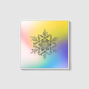 Framed Canvas Wall Art for Living Room, Bedroom Snowflake Theme Canvas Prints for Home Decoration Ready to Hang - 16x16 inches